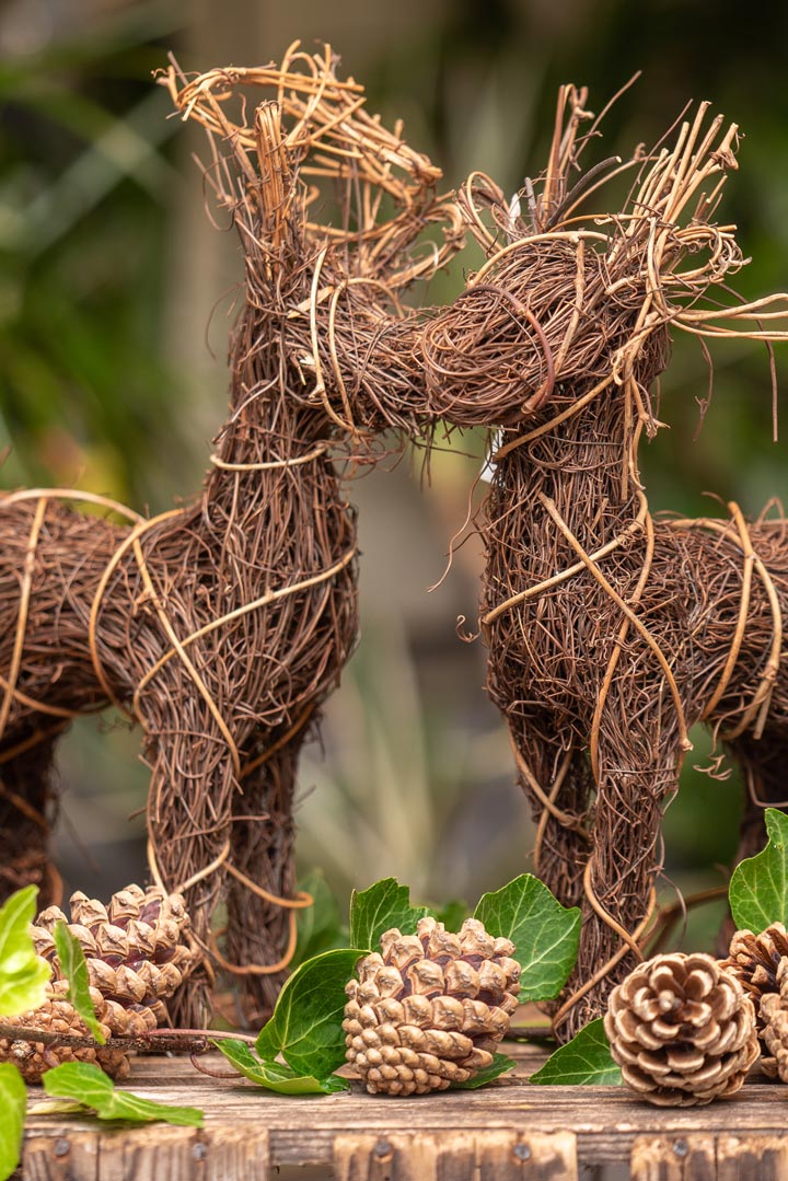 Rustic Reindeer Duo